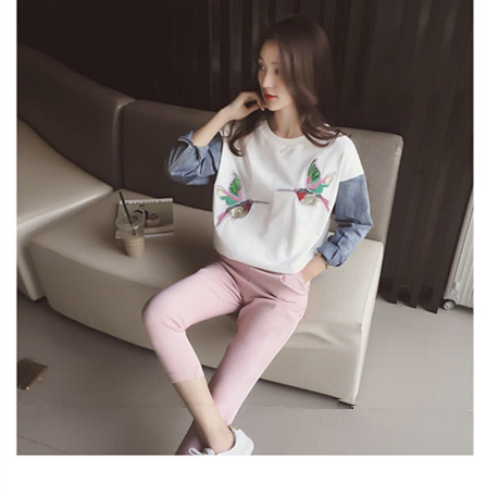 Hummingbird Pullover