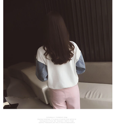 Hummingbird Pullover