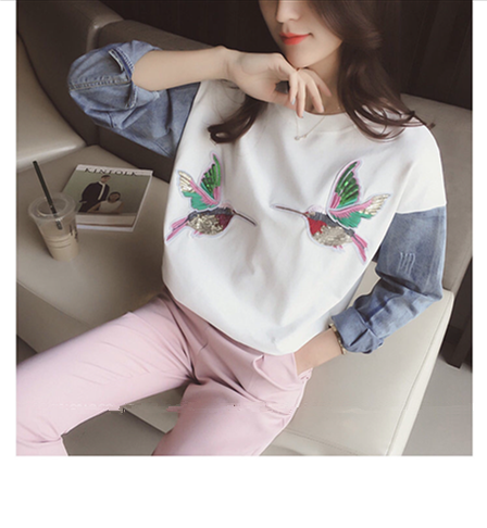 Hummingbird Pullover